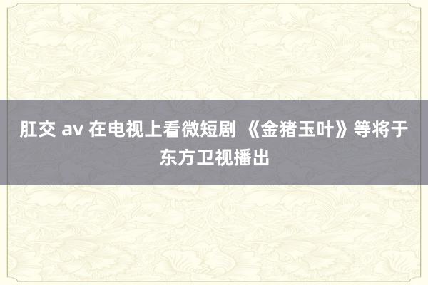 肛交 av 在电视上看微短剧 《金猪玉叶》等将于东方卫视播出