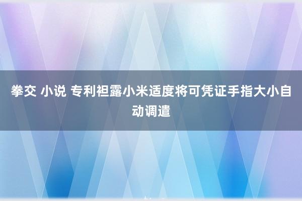 拳交 小说 专利袒露小米适度将可凭证手指大小自动调遣