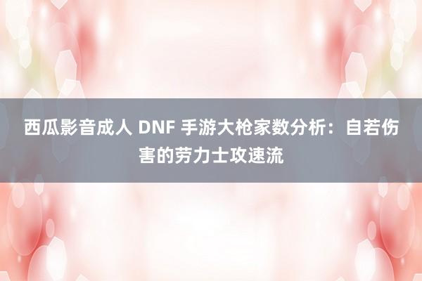 西瓜影音成人 DNF 手游大枪家数分析：自若伤害的劳力士攻速流