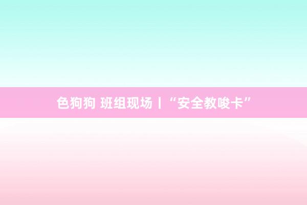 色狗狗 班组现场丨“安全教唆卡”
