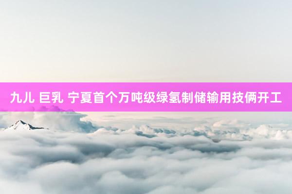九儿 巨乳 宁夏首个万吨级绿氢制储输用技俩开工