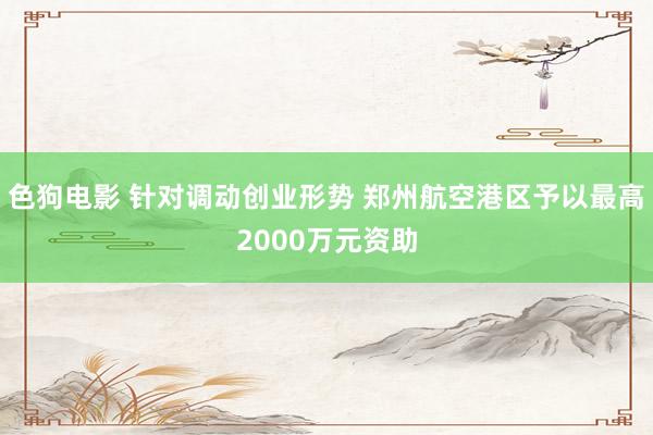 色狗电影 针对调动创业形势 郑州航空港区予以最高2000万元资助