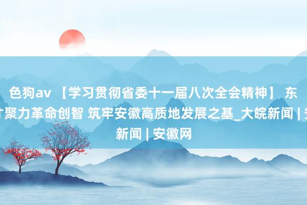 色狗av 【学习贯彻省委十一届八次全会精神】 东谈主才聚力革命创智 筑牢安徽高质地发展之基_大皖新闻 | 安徽网