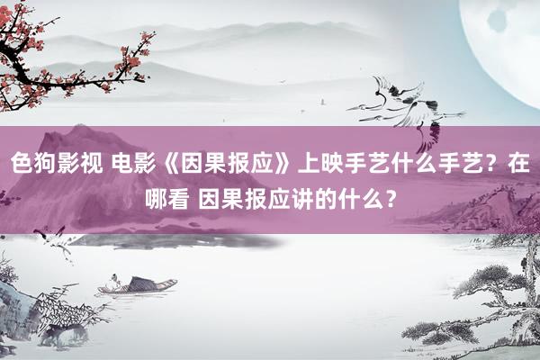 色狗影视 电影《因果报应》上映手艺什么手艺？在哪看 因果报应讲的什么？