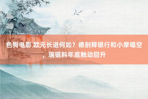色狗电影 欧元长进何如？德剖释银行和小摩唱空，瑞银料年底触动回升