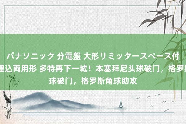 パナソニック 分電盤 大形リミッタースペース付 露出・半埋込両用形 多特再下一城！本塞拜尼头球破门，格罗斯角球助攻