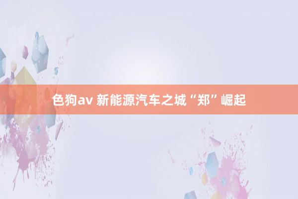 色狗av 新能源汽车之城“郑”崛起