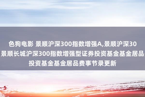 色狗电影 景顺沪深300指数增强A，景顺沪深300指数增强C: 景顺长城沪深300指数增强型证券投资基金基金居品费事节录更新