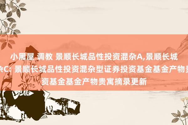 小黑屋 调教 景顺长城品性投资混杂A,景顺长城品性投资混杂C: 景顺长城品性投资混杂型证券投资基金基金产物贵寓摘录更新