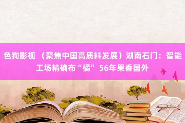 色狗影视 （聚焦中国高质料发展）湖南石门：智能工场精确布“橘” 56年果香国外