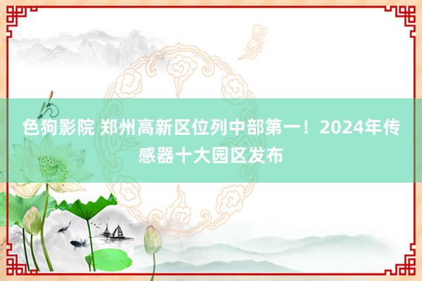色狗影院 郑州高新区位列中部第一！2024年传感器十大园区发布