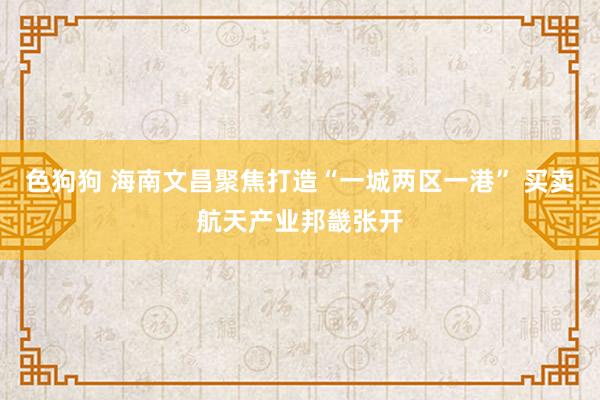 色狗狗 海南文昌聚焦打造“一城两区一港” 买卖航天产业邦畿张开
