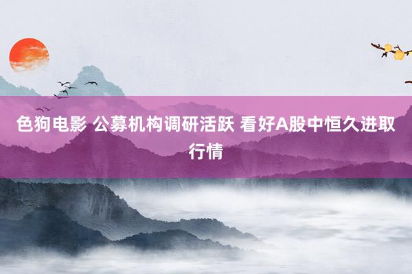 色狗电影 公募机构调研活跃 看好A股中恒久进取行情