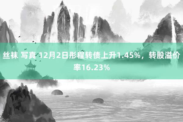 丝袜 写真 12月2日彤程转债上升1.45%，转股溢价率16.23%