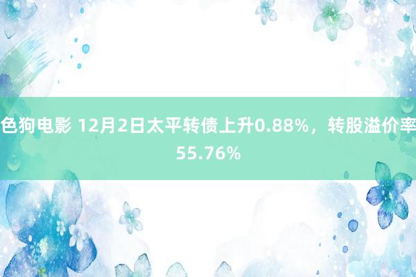 色狗电影 12月2日太平转债上升0.88%，转股溢价率55.76%