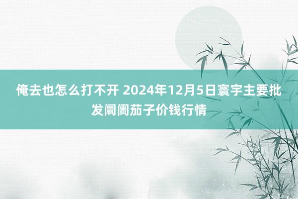 俺去也怎么打不开 2024年12月5日寰宇主要批发阛阓茄子价钱行情