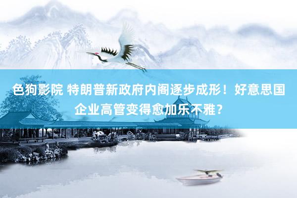 色狗影院 特朗普新政府内阁逐步成形！好意思国企业高管变得愈加乐不雅？