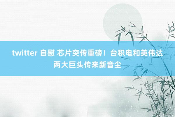 twitter 自慰 芯片突传重磅！台积电和英伟达两大巨头传来新音尘