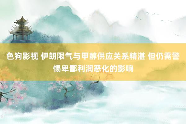 色狗影视 伊朗限气与甲醇供应关系精湛 但仍需警惕卑鄙利润恶化的影响