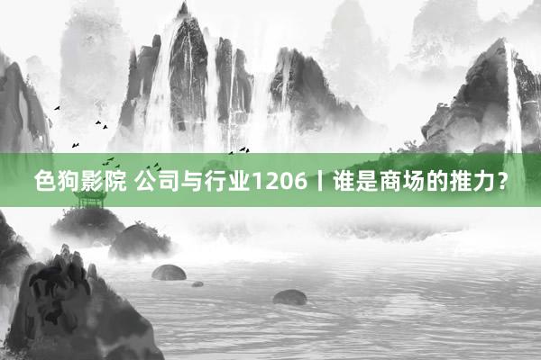 色狗影院 公司与行业1206丨谁是商场的推力？