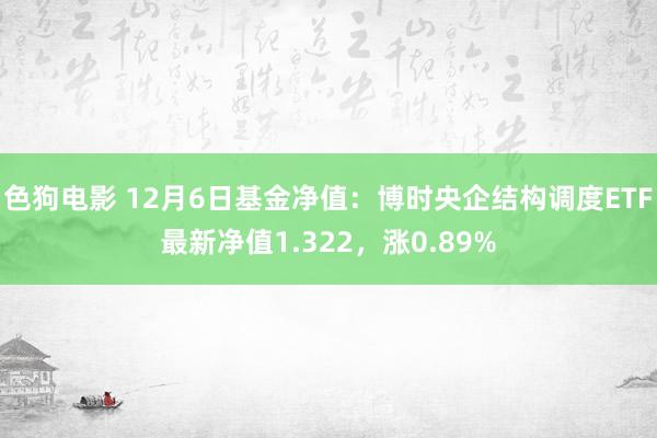 色狗电影 12月6日基金净值：博时央企结构调度ETF最新净值1.322，涨0.89%
