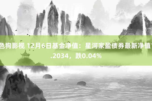 色狗影视 12月6日基金净值：星河家盈债券最新净值1.2034，跌0.04%
