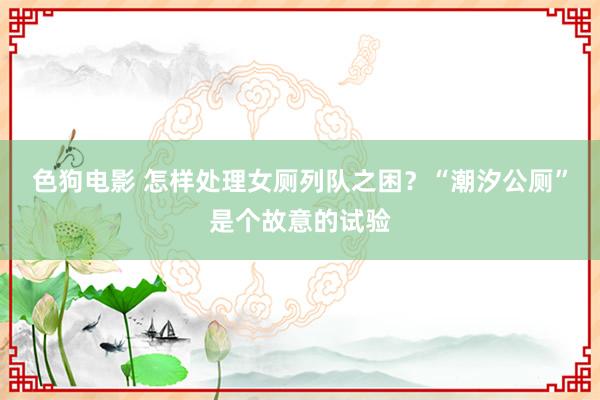 色狗电影 怎样处理女厕列队之困？“潮汐公厕”是个故意的试验