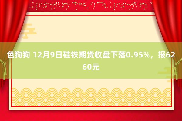 色狗狗 12月9日硅铁期货收盘下落0.95%，报6260元