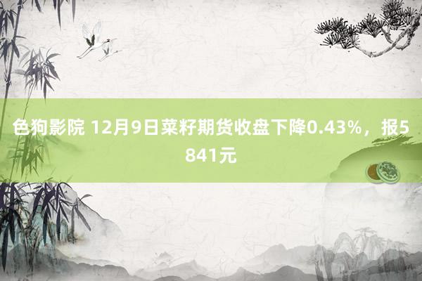 色狗影院 12月9日菜籽期货收盘下降0.43%，报5841元