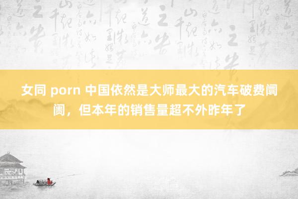 女同 porn 中国依然是大师最大的汽车破费阛阓，但本年的销售量超不外昨年了