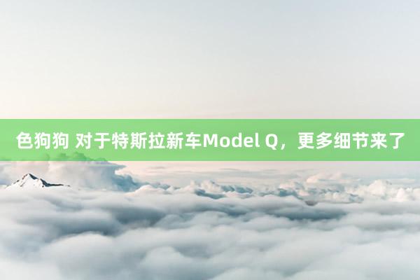 色狗狗 对于特斯拉新车Model Q，更多细节来了