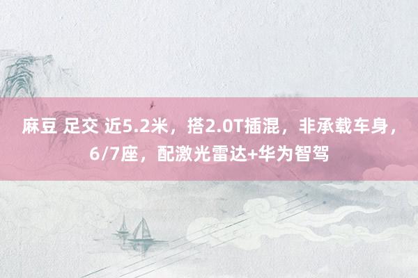 麻豆 足交 近5.2米，搭2.0T插混，非承载车身，6/7座，配激光雷达+华为智驾