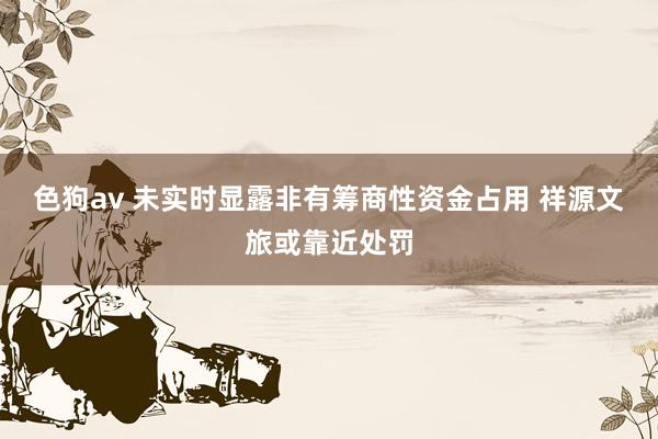 色狗av 未实时显露非有筹商性资金占用 祥源文旅或靠近处罚