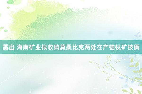 露出 海南矿业拟收购莫桑比克两处在产锆钛矿技俩