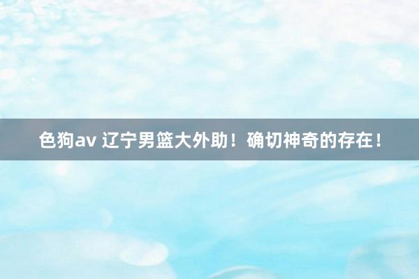 色狗av 辽宁男篮大外助！确切神奇的存在！