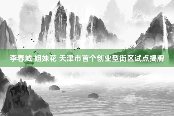 李春城 姐妹花 天津市首个创业型街区试点揭牌