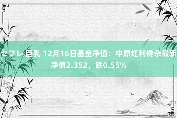 セフレ 巨乳 12月16日基金净值：中原红利搀杂最新净值2.352，跌0.55%