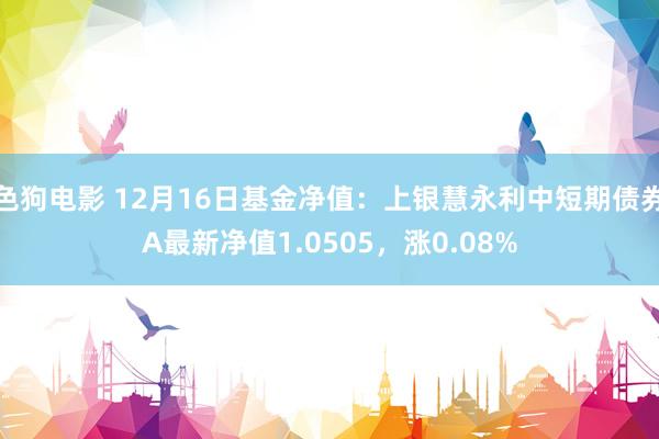 色狗电影 12月16日基金净值：上银慧永利中短期债券A最新净值1.0505，涨0.08%