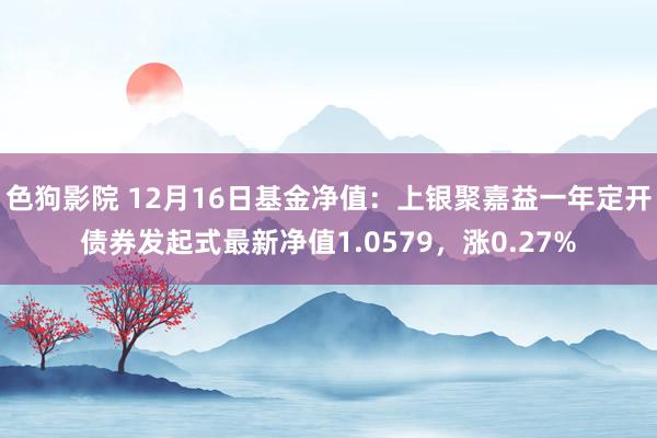 色狗影院 12月16日基金净值：上银聚嘉益一年定开债券发起式最新净值1.0579，涨0.27%