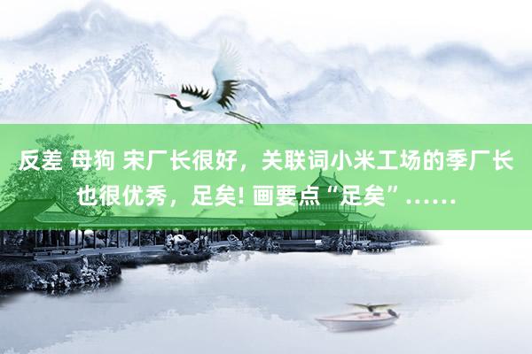 反差 母狗 宋厂长很好，关联词小米工场的季厂长也很优秀，足矣! 画要点“足矣”……