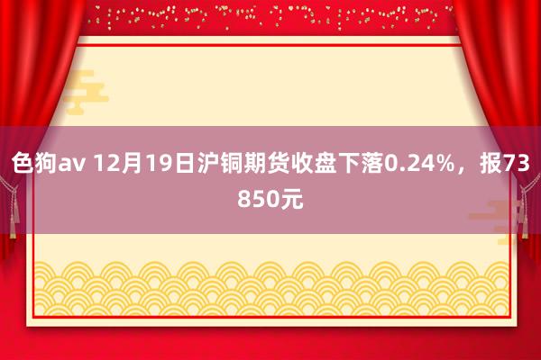 色狗av 12月19日沪铜期货收盘下落0.24%，报73850元