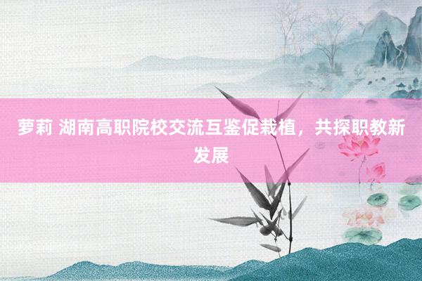 萝莉 湖南高职院校交流互鉴促栽植，共探职教新发展