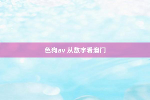色狗av 从数字看澳门