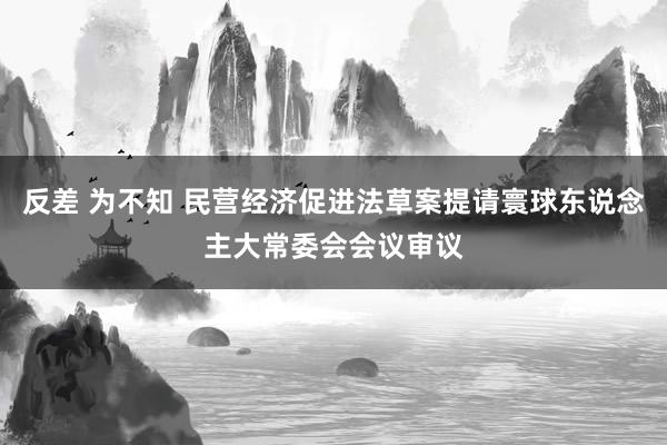 反差 为不知 民营经济促进法草案提请寰球东说念主大常委会会议审议