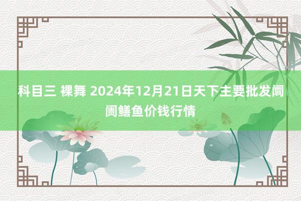 科目三 裸舞 2024年12月21日天下主要批发阛阓鳝鱼价钱行情