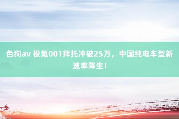 色狗av 极氪001拜托冲破25万，中国纯电车型新速率降生！
