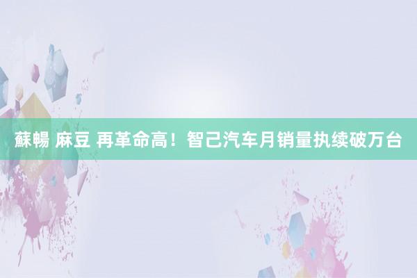蘇暢 麻豆 再革命高！智己汽车月销量执续破万台