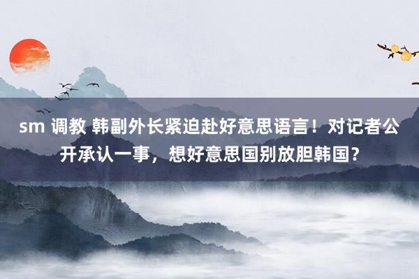 sm 调教 韩副外长紧迫赴好意思语言！对记者公开承认一事，想好意思国别放胆韩国？