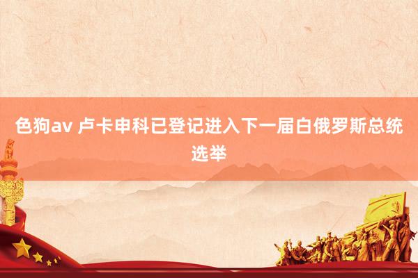 色狗av 卢卡申科已登记进入下一届白俄罗斯总统选举