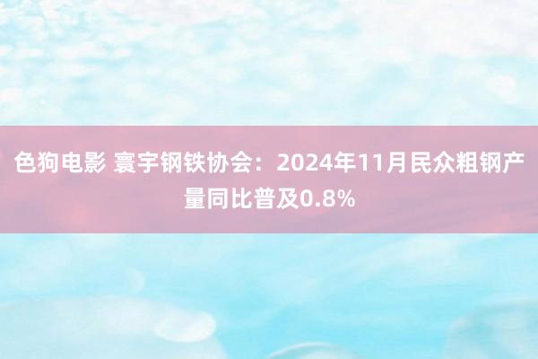 色狗电影 寰宇钢铁协会：2024年11月民众粗钢产量同比普及0.8%